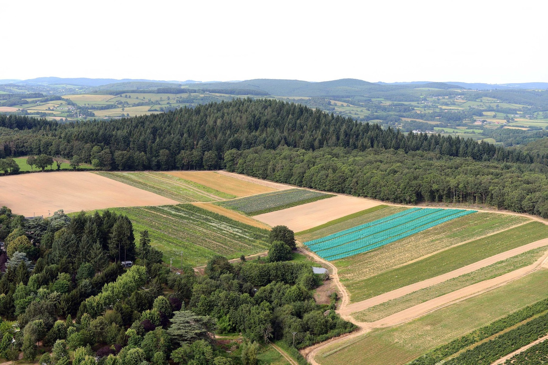 Aménagement foncier, agricole et forestier