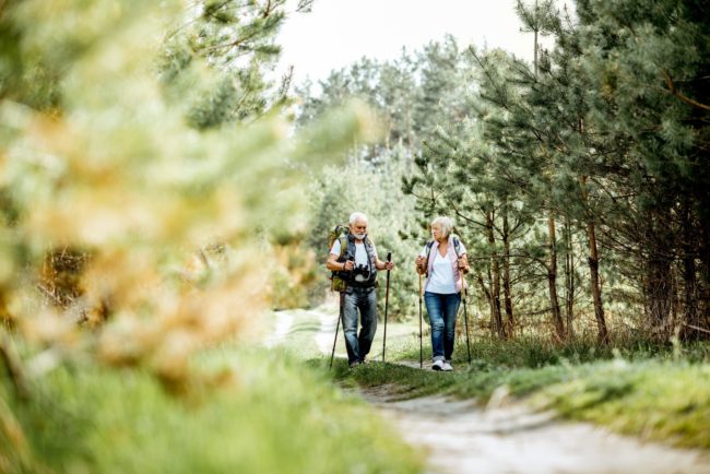 Senior couple hiking in the forest