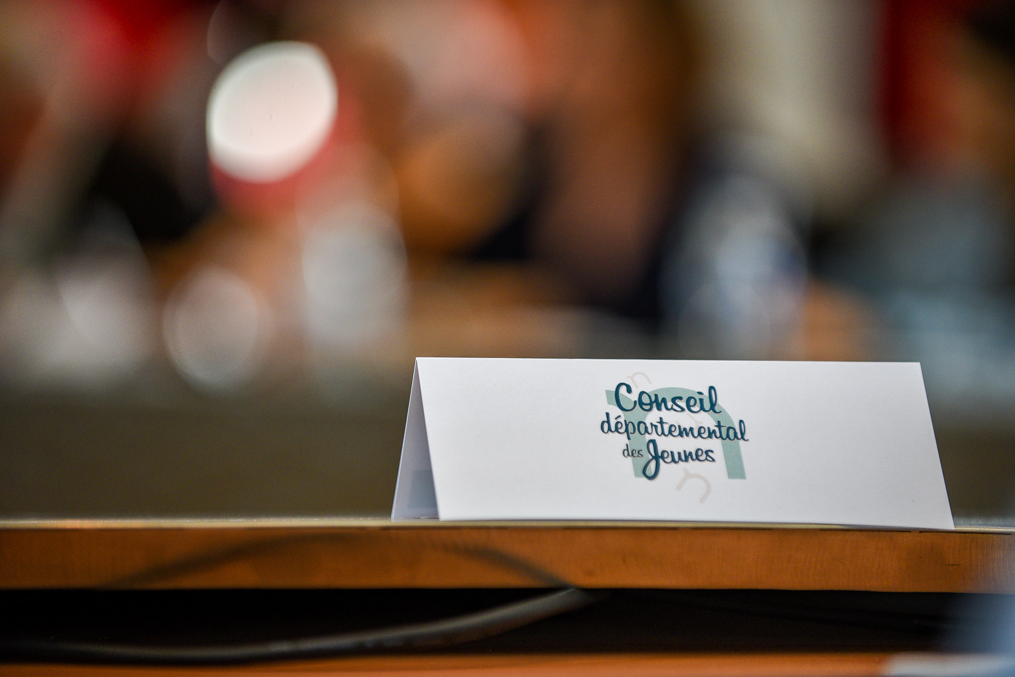 Conseil départemental des jeunes