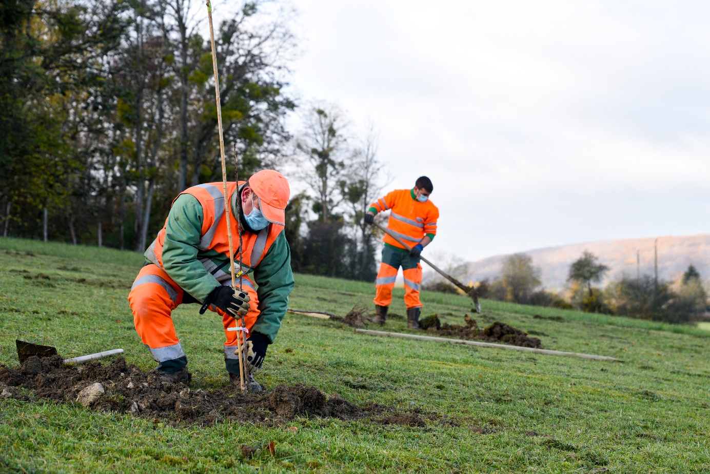 Plantation d'arbre par les agents du Conseil départemental de la Nièvre Plantation d'arbre par les agents du Conseil départemental de la Nièvre