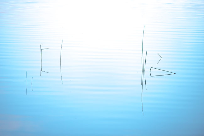 milieu aqua