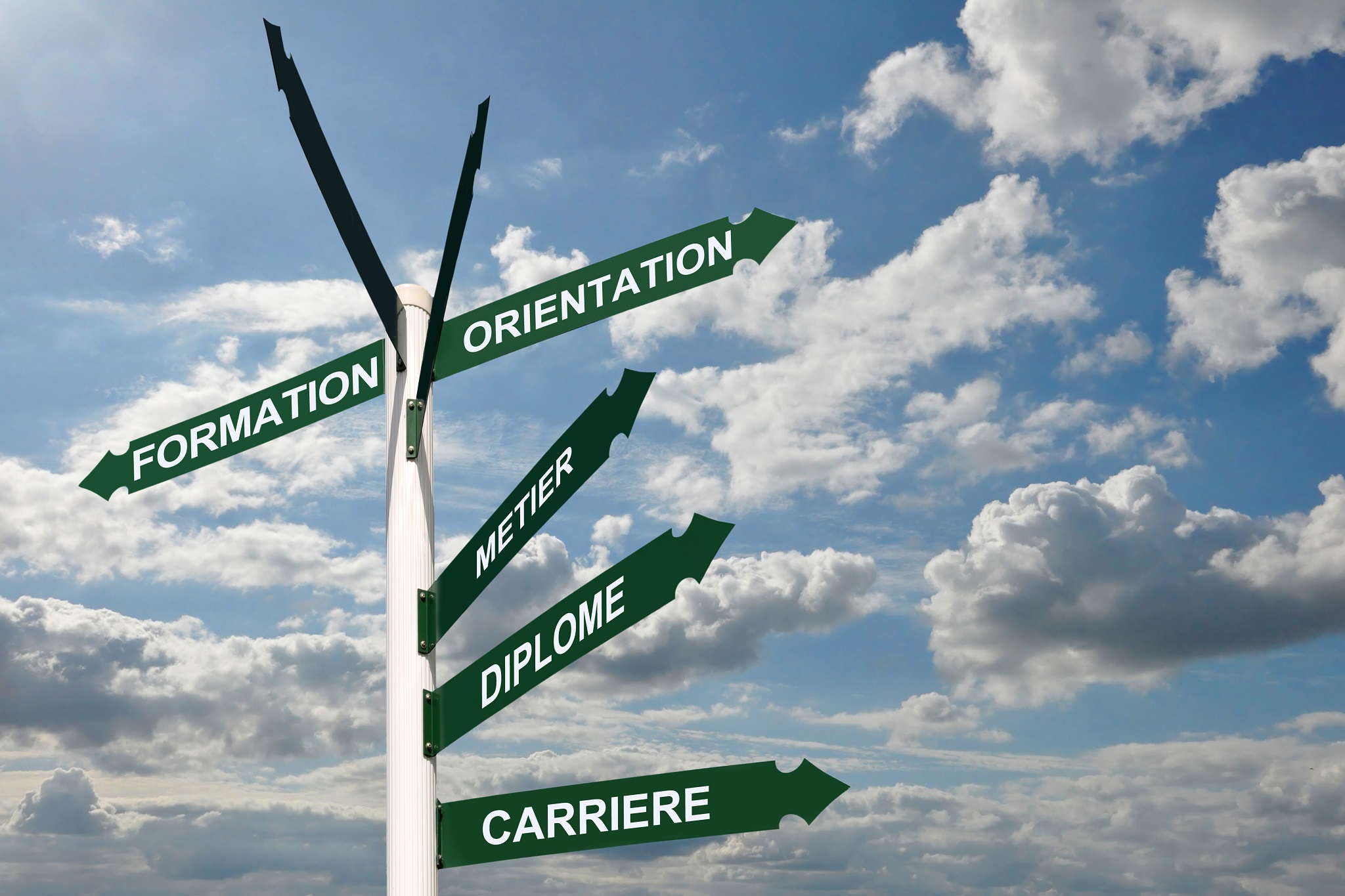 Orientation