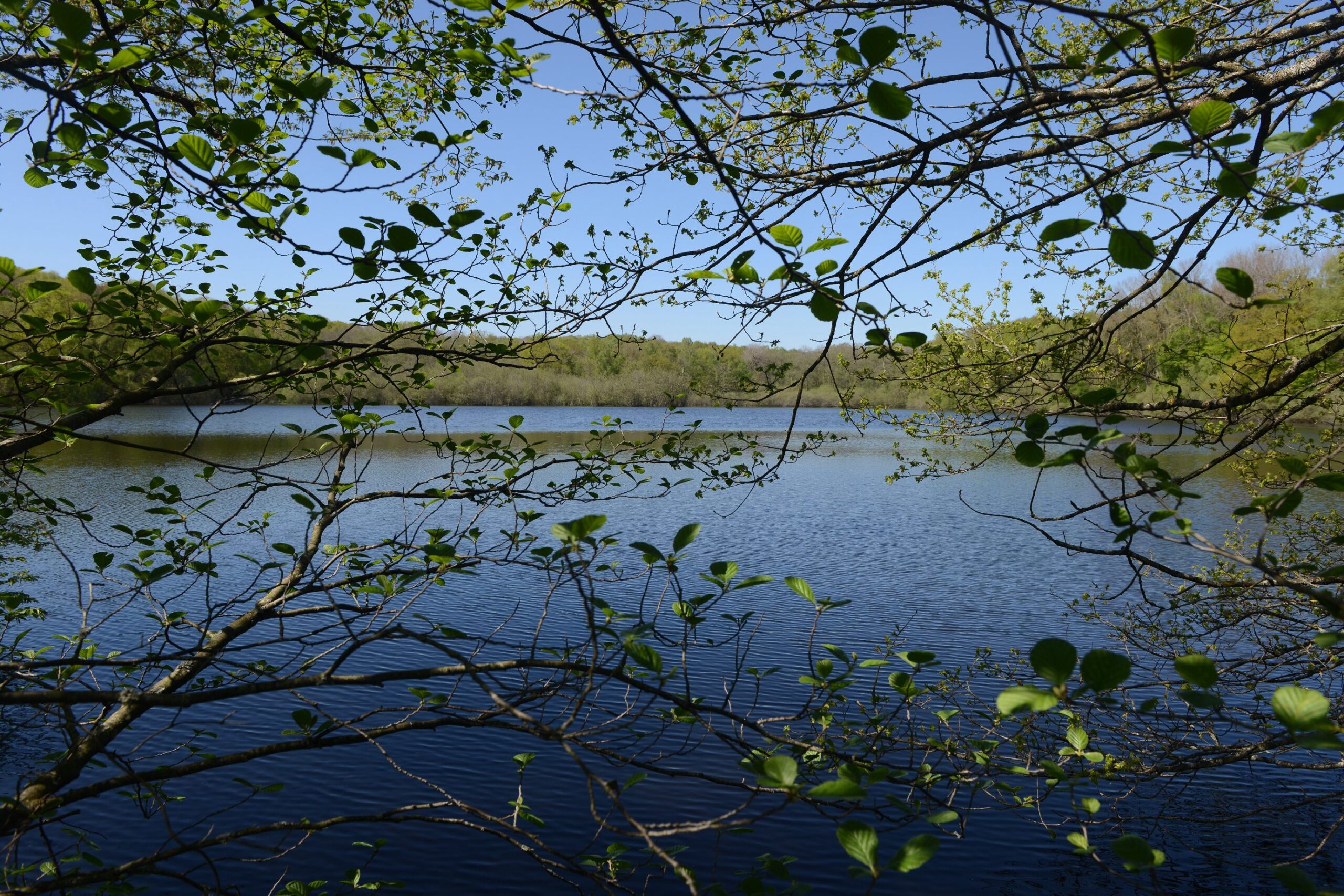 Etang du Merle