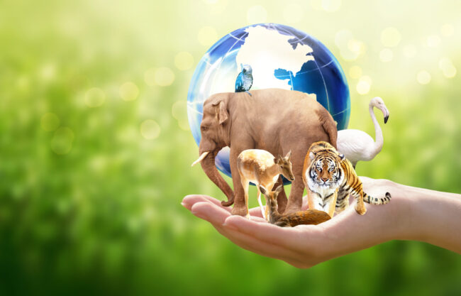 Earth Day or World Animal Day concept. Save planet, protect wild