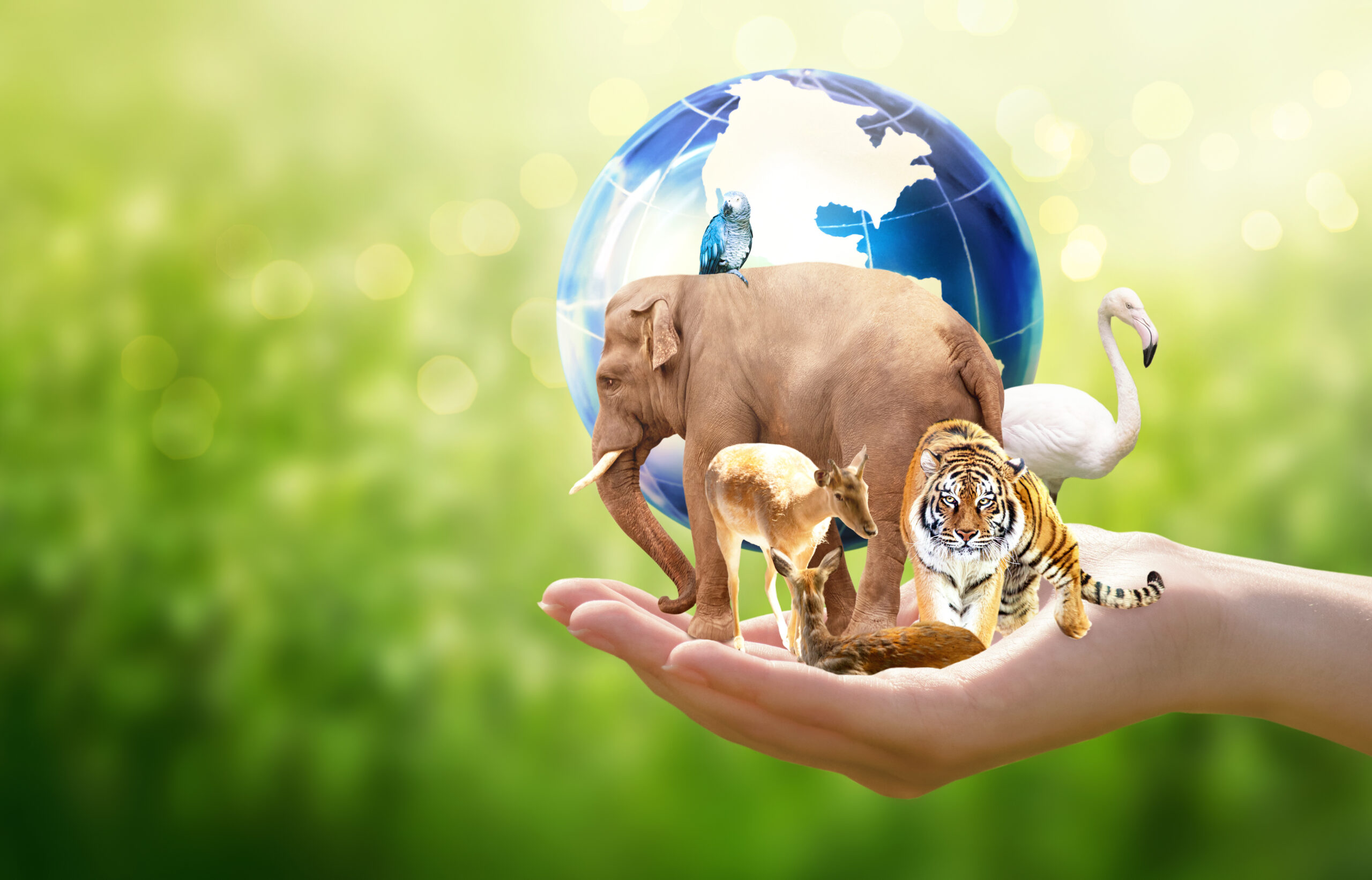 Earth Day or World Animal Day concept. Save planet, protect wild