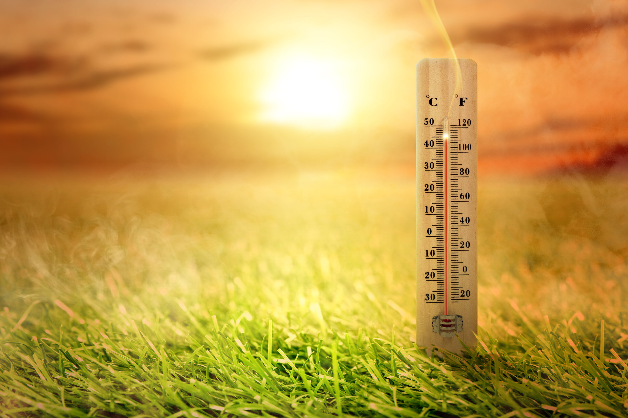 Thermometer with high temperature on the meadow with glowing sun
