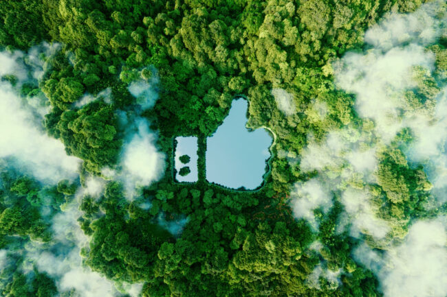 Thumbs up icon – like icon in the form of a clear pond in the mi