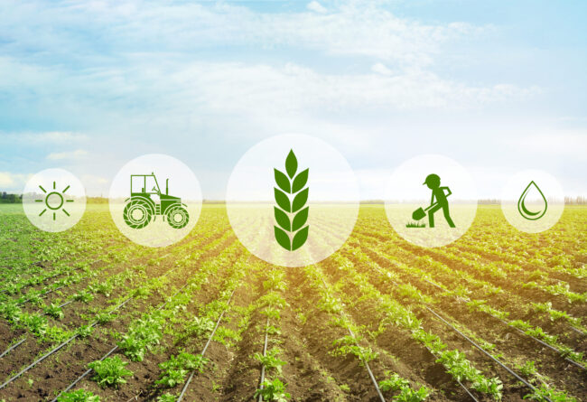 Icons and field on background. Concept of smart agriculture and
