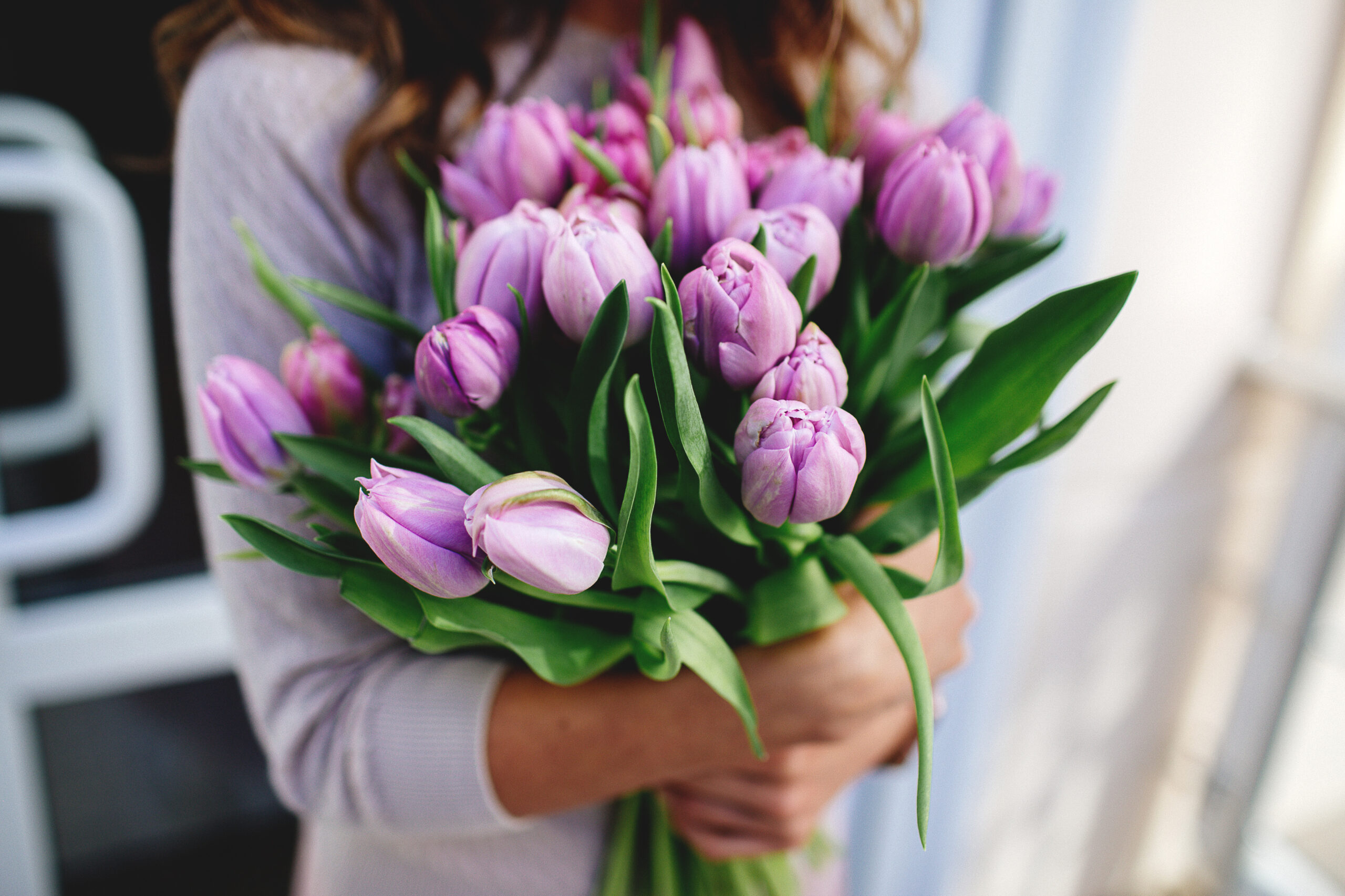 Bouquet of tulips in hands