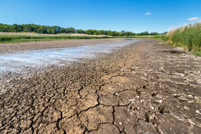 Dry riverbed with cracked ground of bottom, water leftovers in p