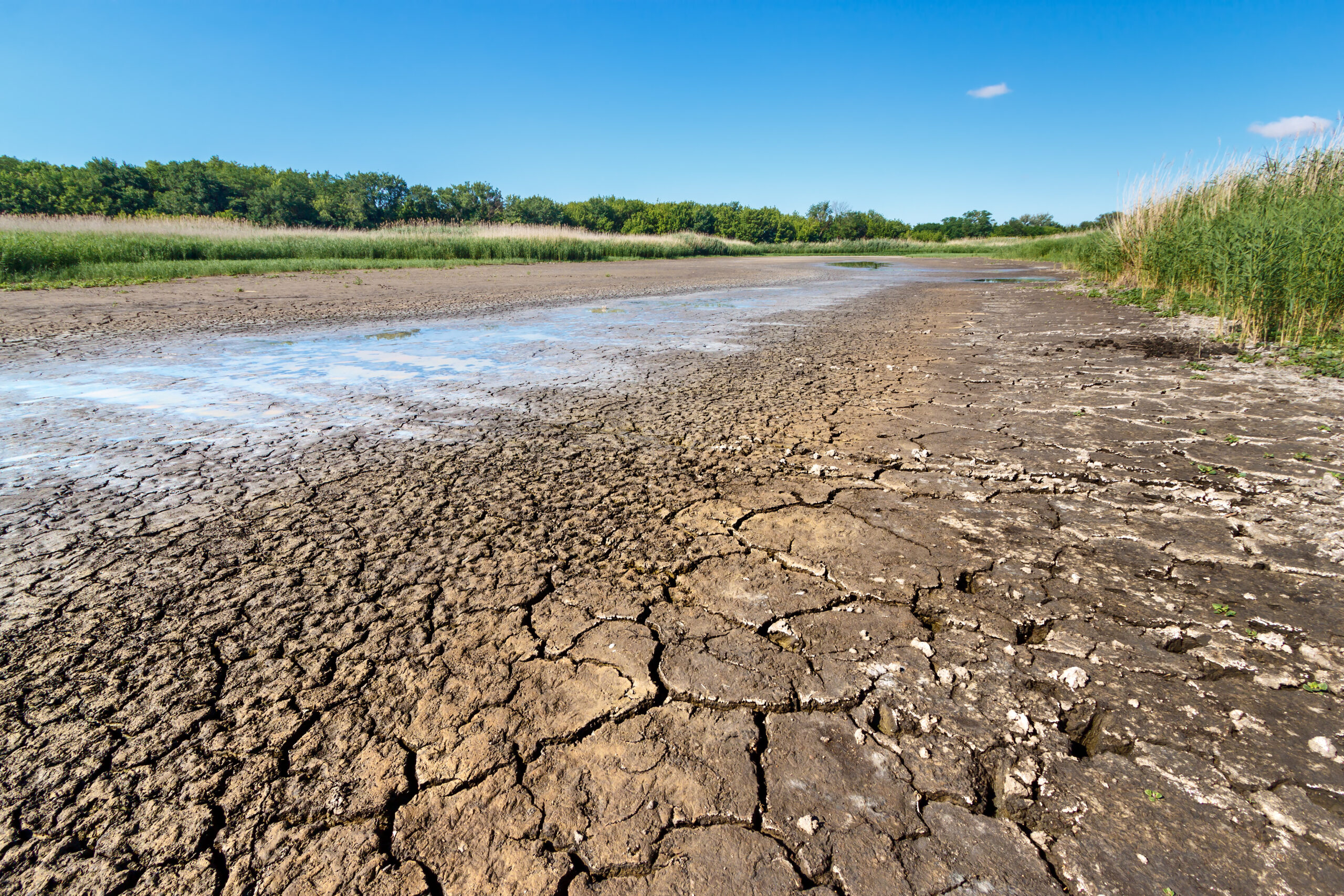 Dry riverbed with cracked ground of bottom, water leftovers in p