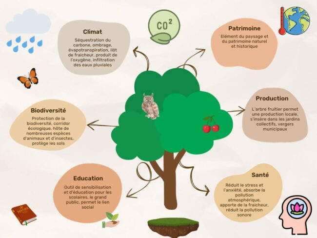 services_arbres
