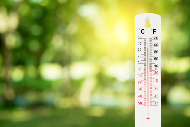 thermometer on a green nature background and temperature measuri