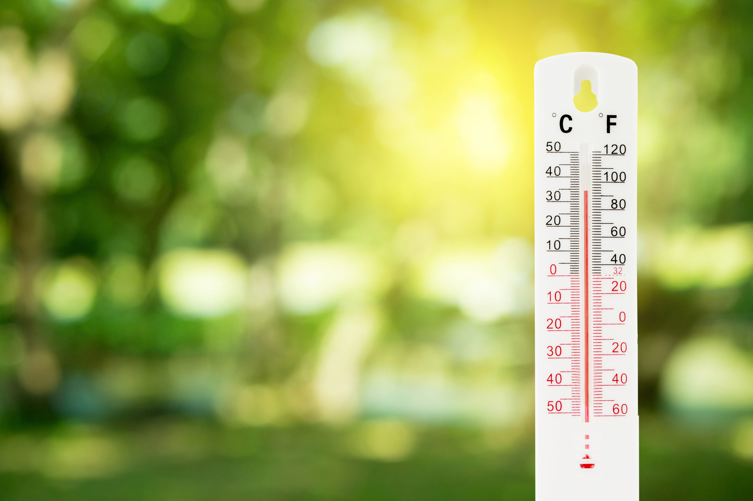 thermometer on a green nature background and temperature measuri