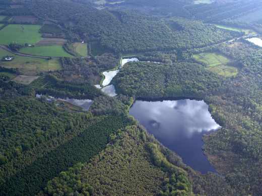 Bois de Bouquin