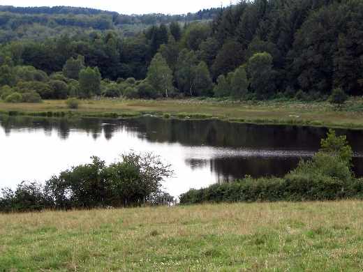Zones Tourbeuses Montbé Zones Tourbeuses Montbé
