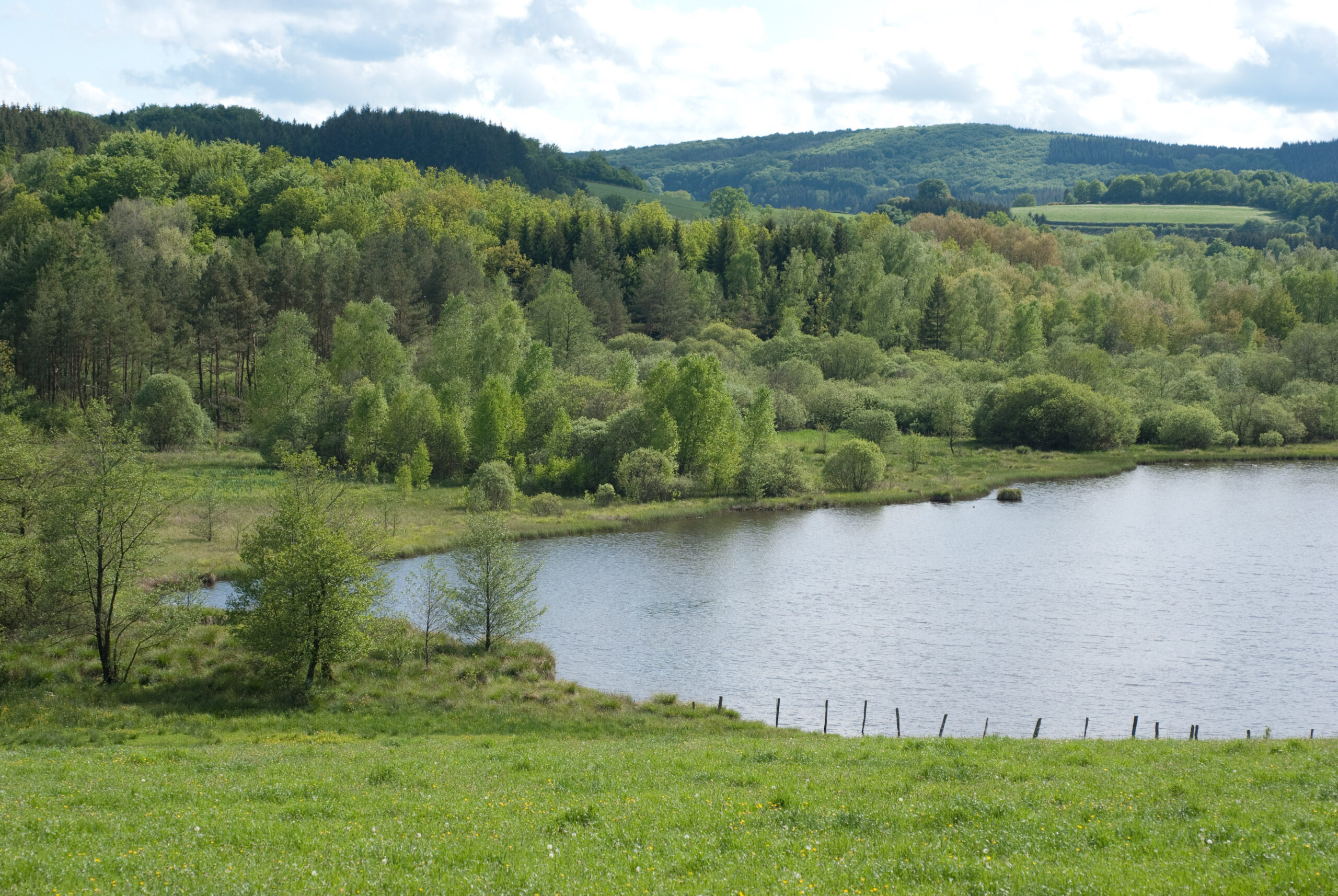 Etang tourbeux du Moulin Caillot