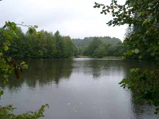 Etang des Vernets Étang des Vernets
