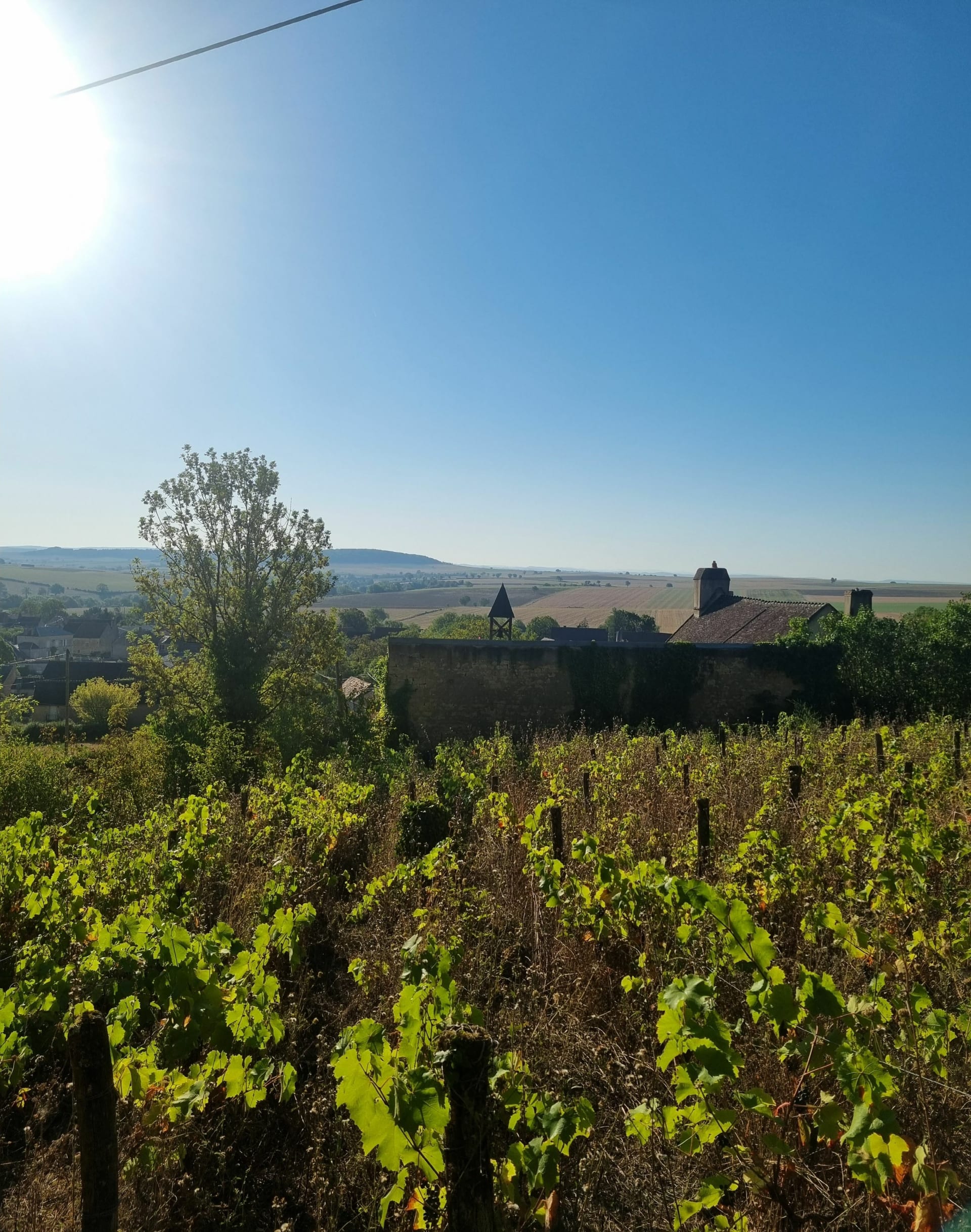 Butte de La Montagne (Metz-le-Comte) Butte de La Montagne (Metz-le-Comte)