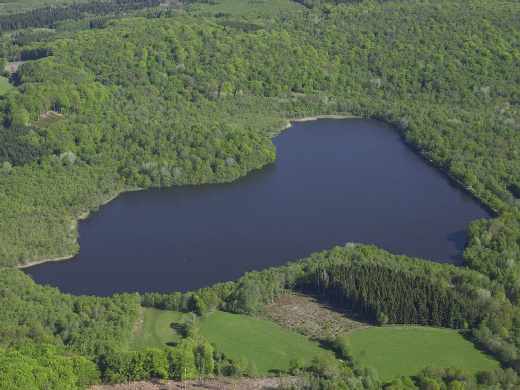 Étang des Hâtes (Alligny-en-Morvan) Étang des Hâtes (Alligny-en-Morvan)