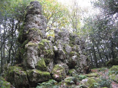Site inscrit du rocher de La Pierre Aigüe (Villapourçon) Site inscrit du rocher de La Pierre Aigüe (Villapourçon)