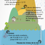 infographie_LeMonde