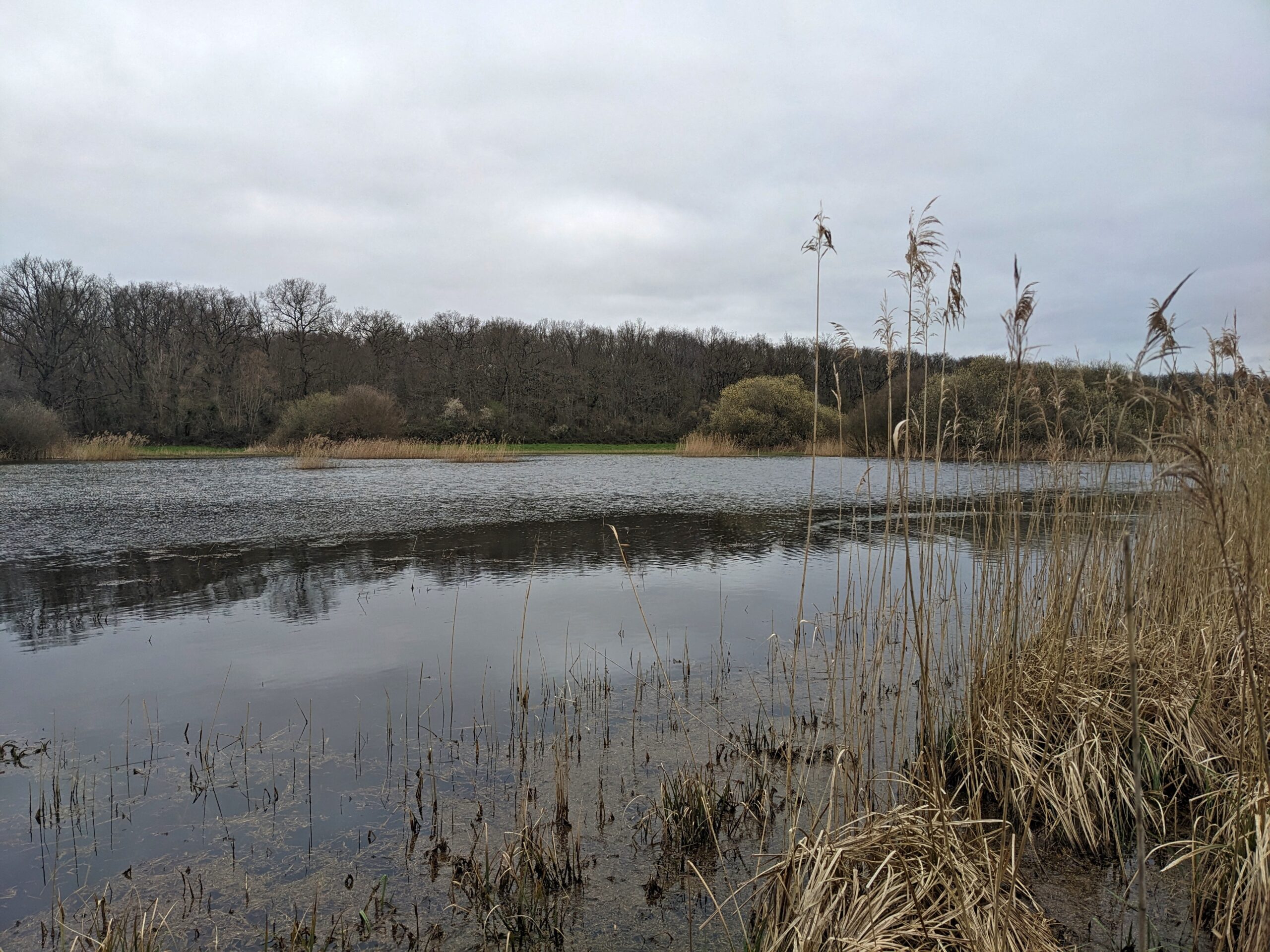 Etang des hâtes