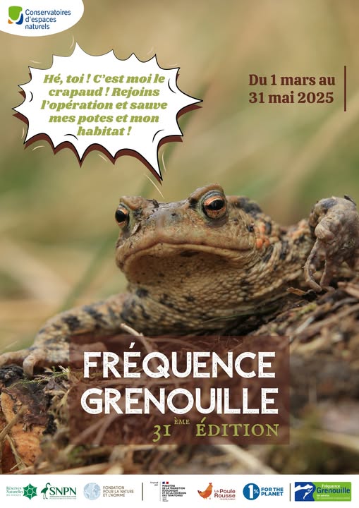 fréquence_grenouille_2025