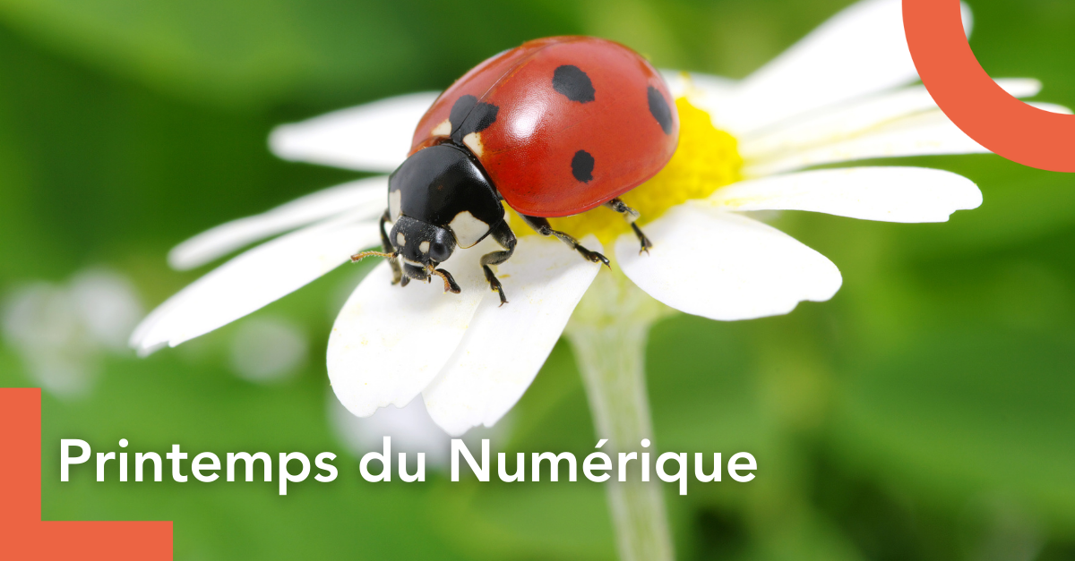 Printemps du numérique