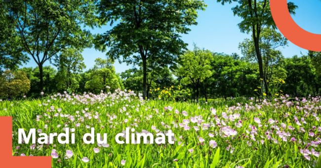 mardis du climat(11)